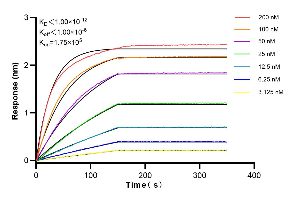 Affinity and Kinetic Characterization of 83841-4-RR