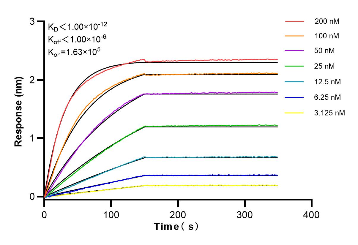 Affinity and Kinetic Characterization of 83841-5-RR