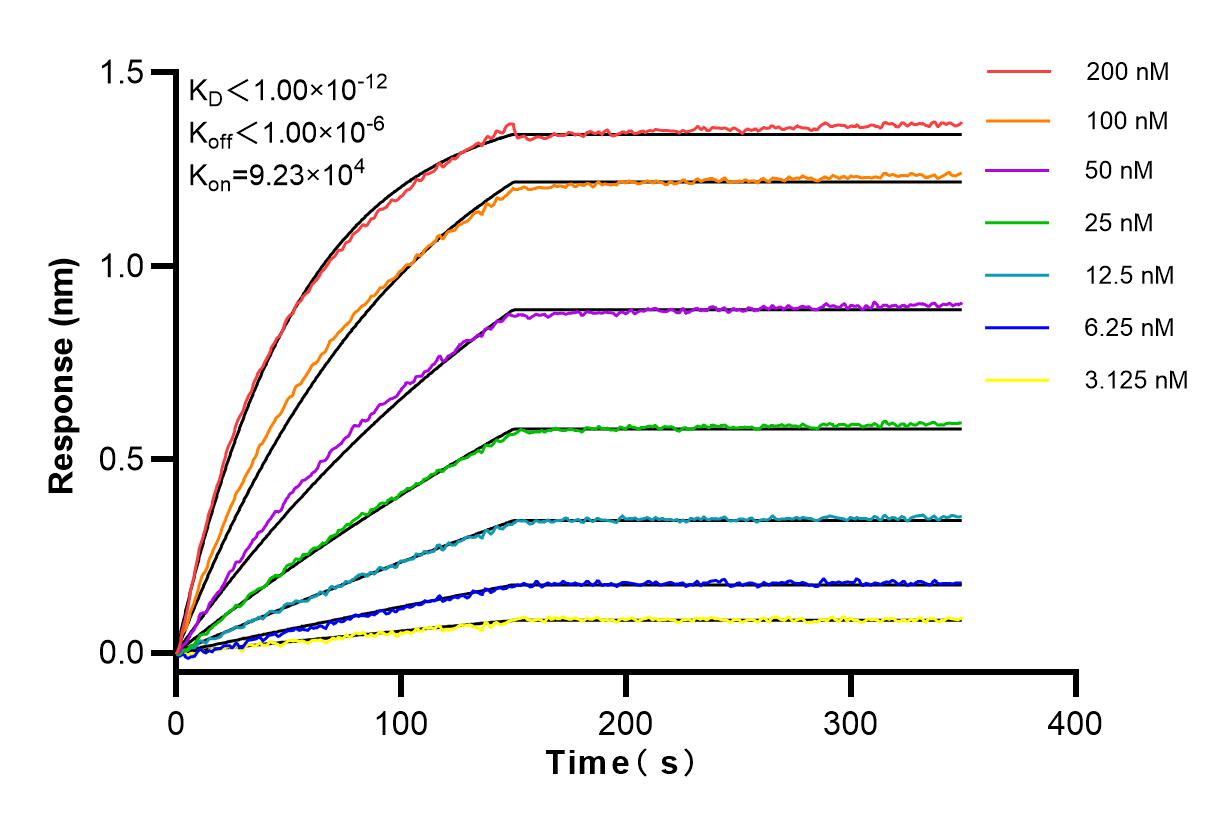 Affinity and Kinetic Characterization of 83843-5-RR