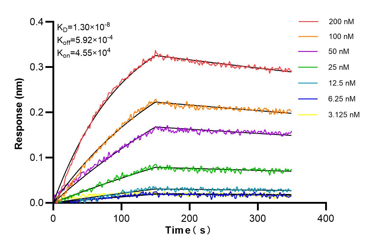 Affinity and Kinetic Characterization of 83857-6-RR