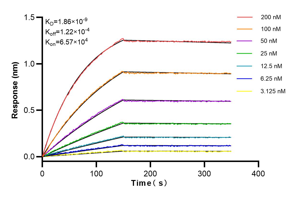 Affinity and Kinetic Characterization of 83875-5-RR