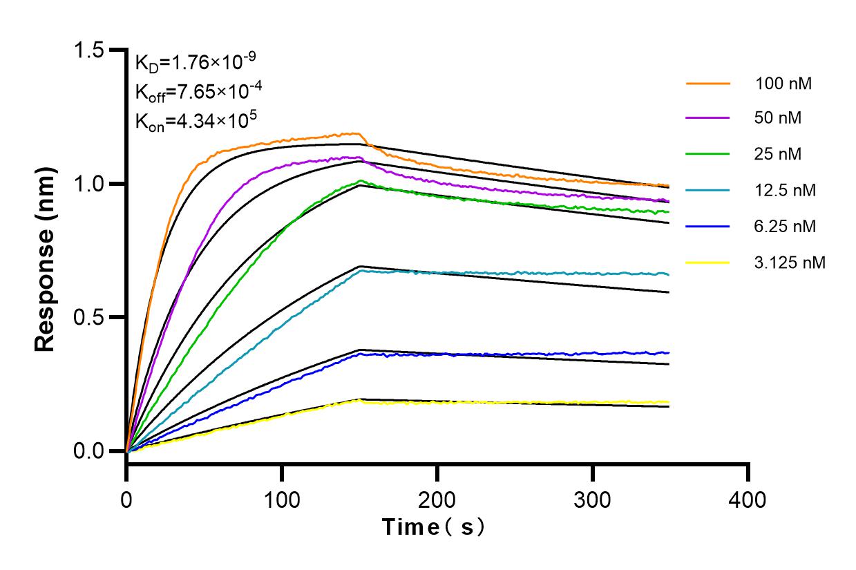 Affinity and Kinetic Characterization of 83878-5-RR