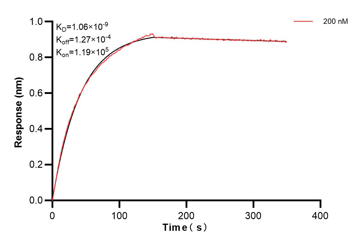 Affinity and Kinetic Characterization of 83890-4-PBS