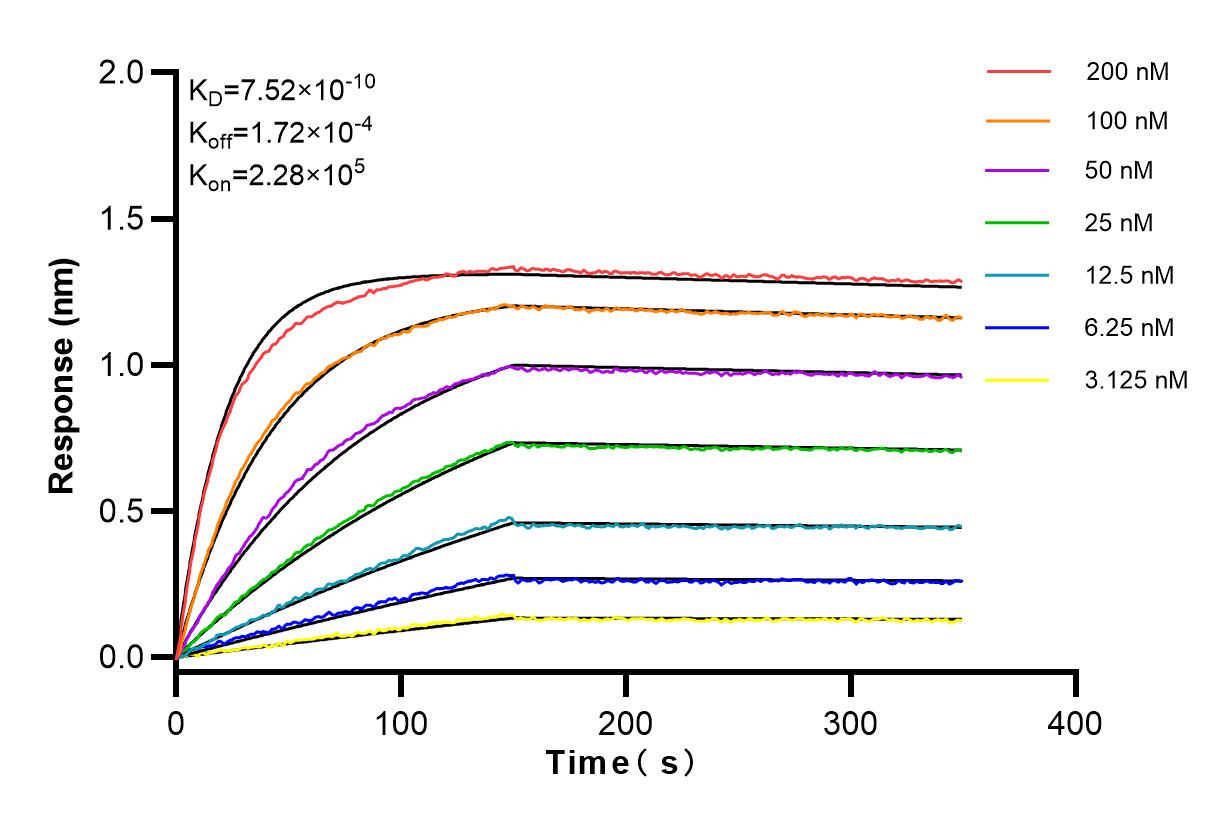 Affinity and Kinetic Characterization of 83890-5-RR