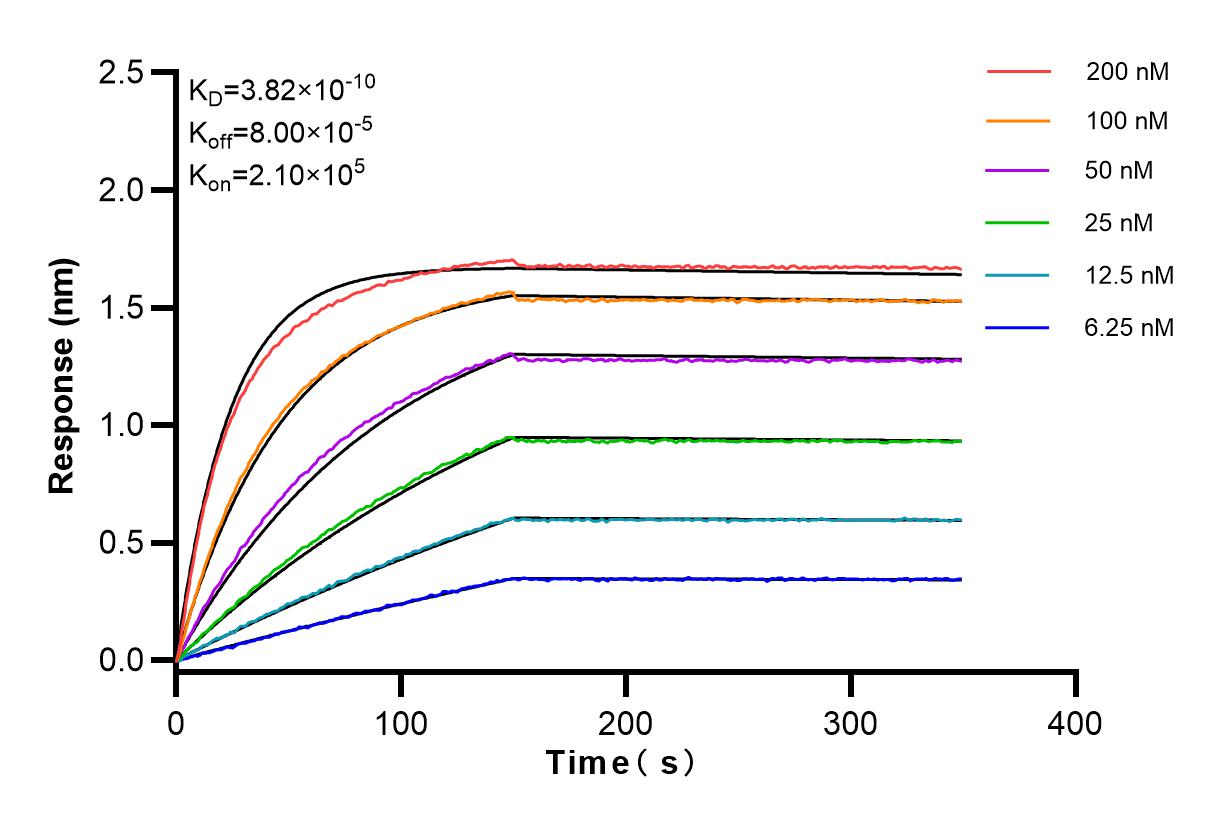 Affinity and Kinetic Characterization of 83897-4-RR