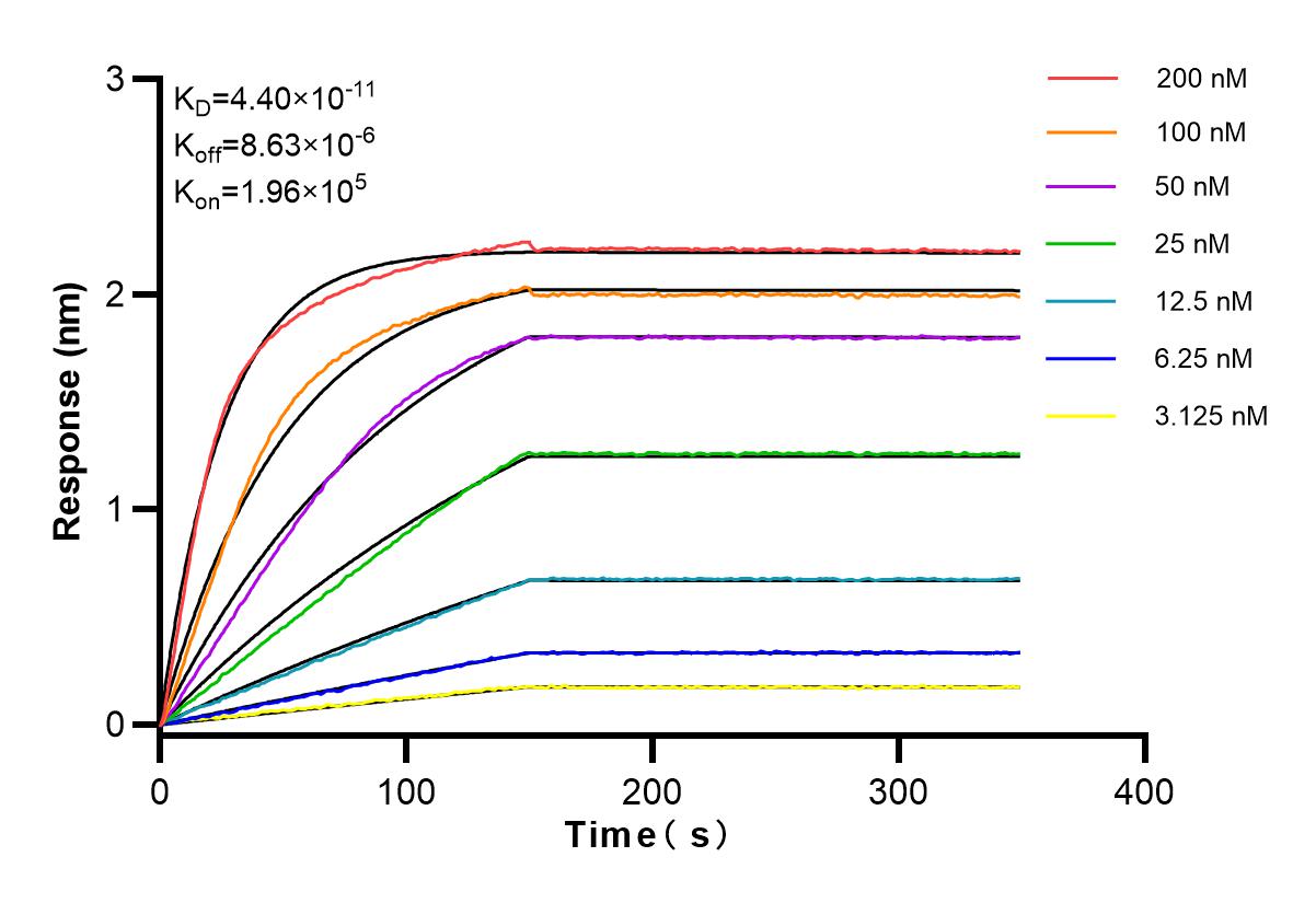 Affinity and Kinetic Characterization of 83901-5-RR