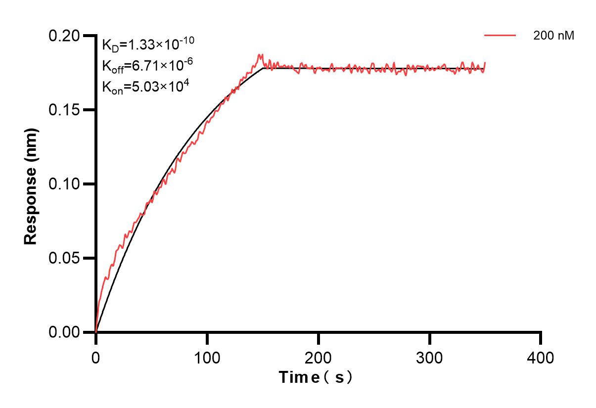 Affinity and Kinetic Characterization of 83904-1-PBS