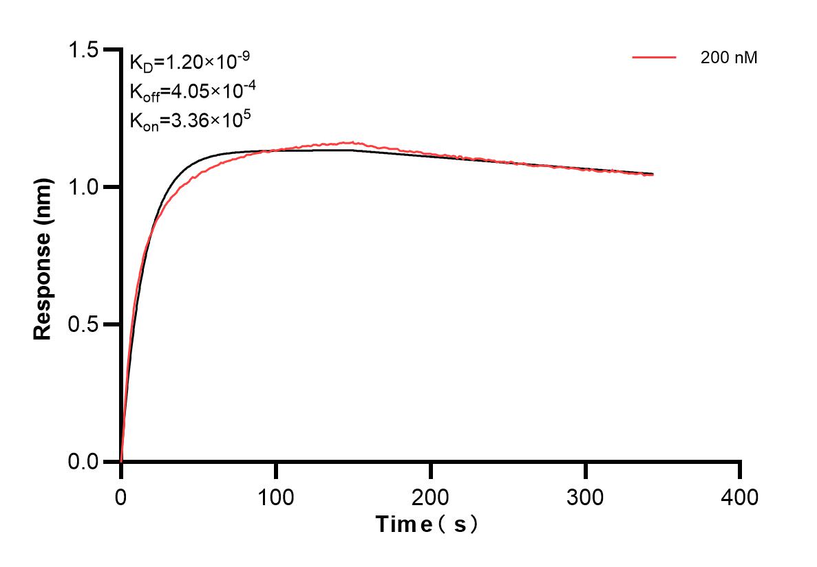 Affinity and Kinetic Characterization of 83905-1-PBS