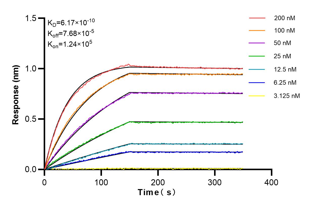 Affinity and Kinetic Characterization of 83905-4-RR