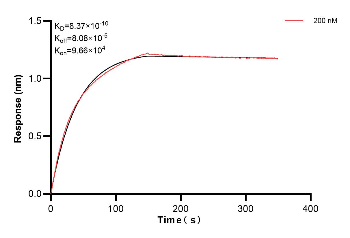 Affinity and Kinetic Characterization of 83910-1-PBS