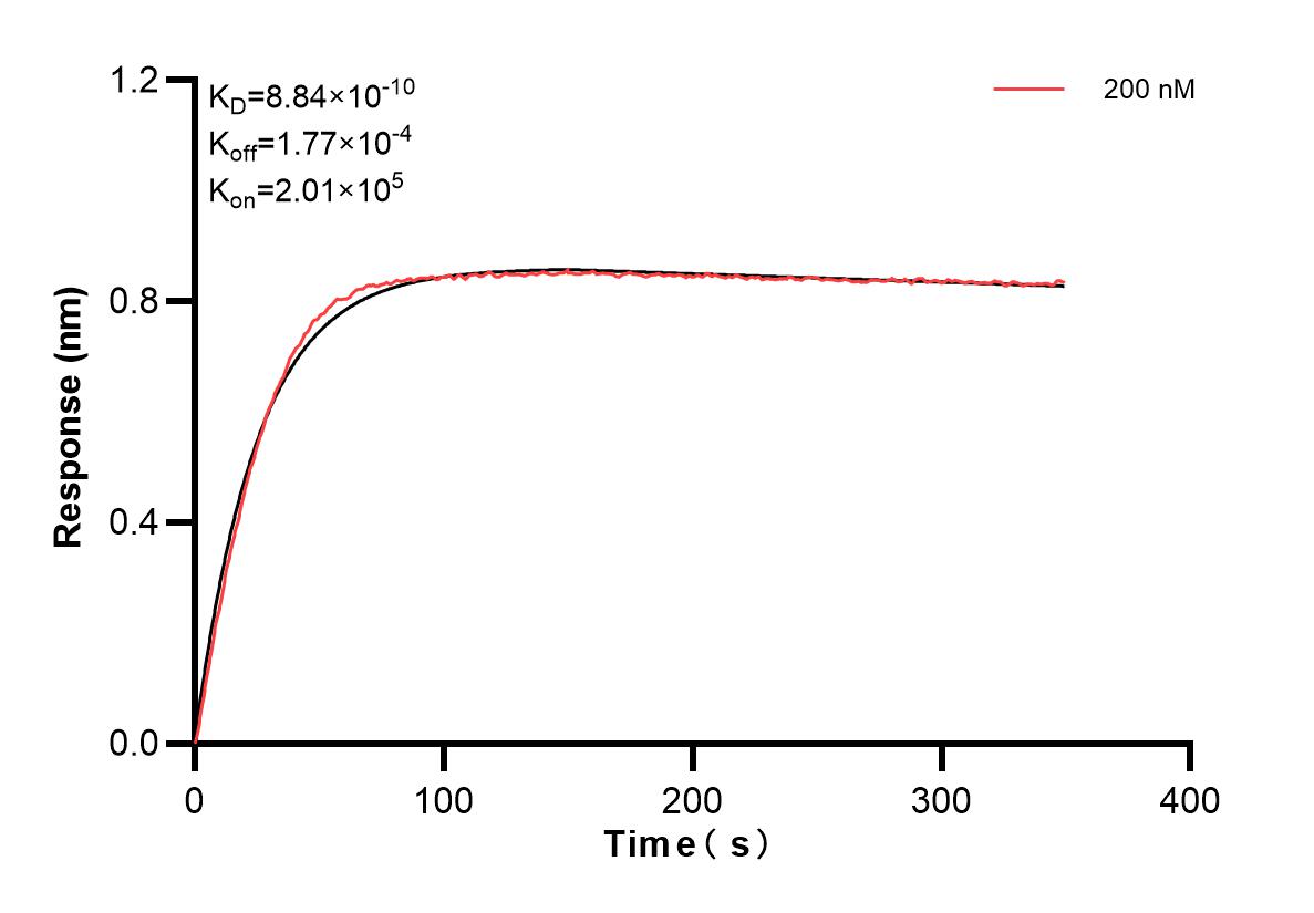 Affinity and Kinetic Characterization of 83916-2-PBS