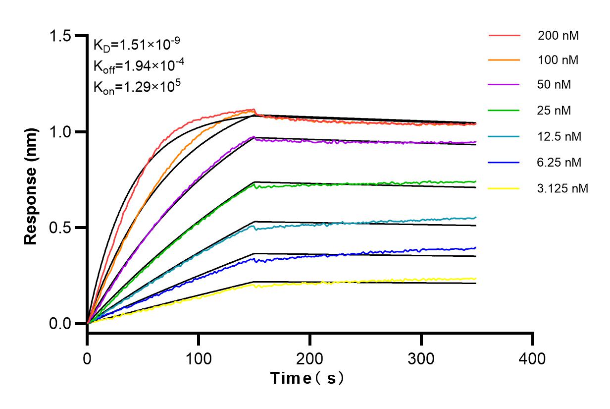 Affinity and Kinetic Characterization of 83931-1-RR