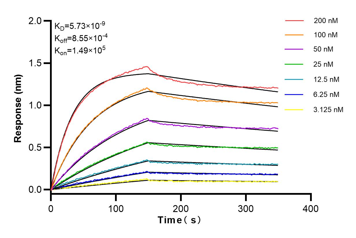 Affinity and Kinetic Characterization of 83940-7-RR