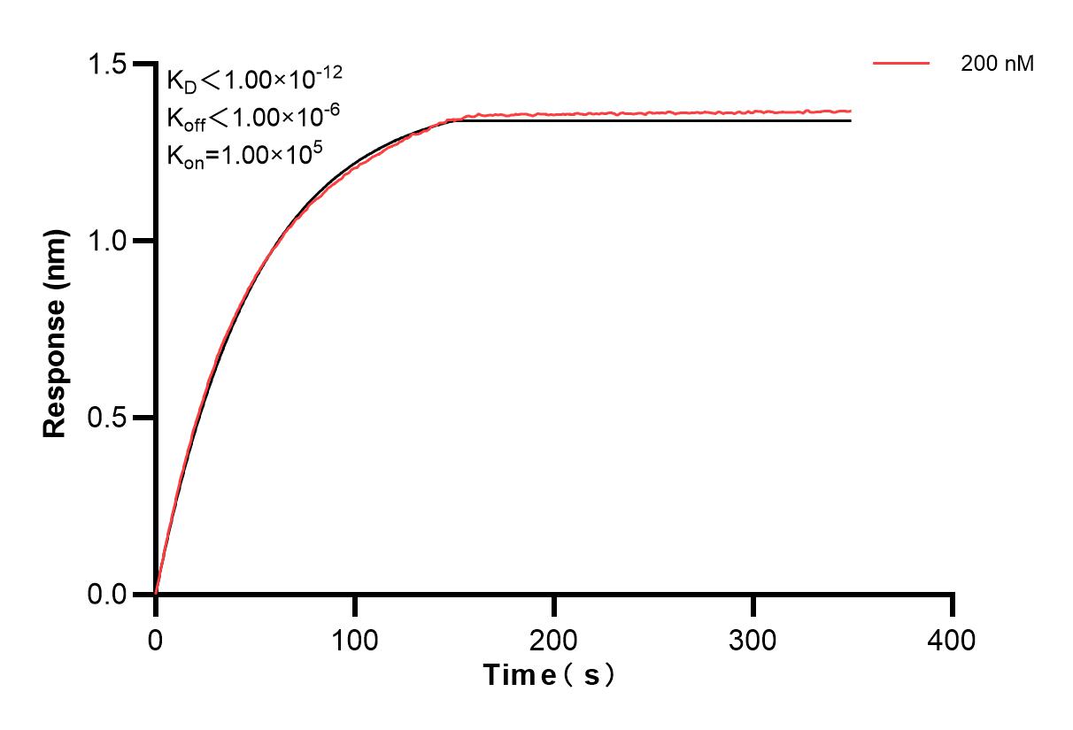 Affinity and Kinetic Characterization of 83946-2-PBS