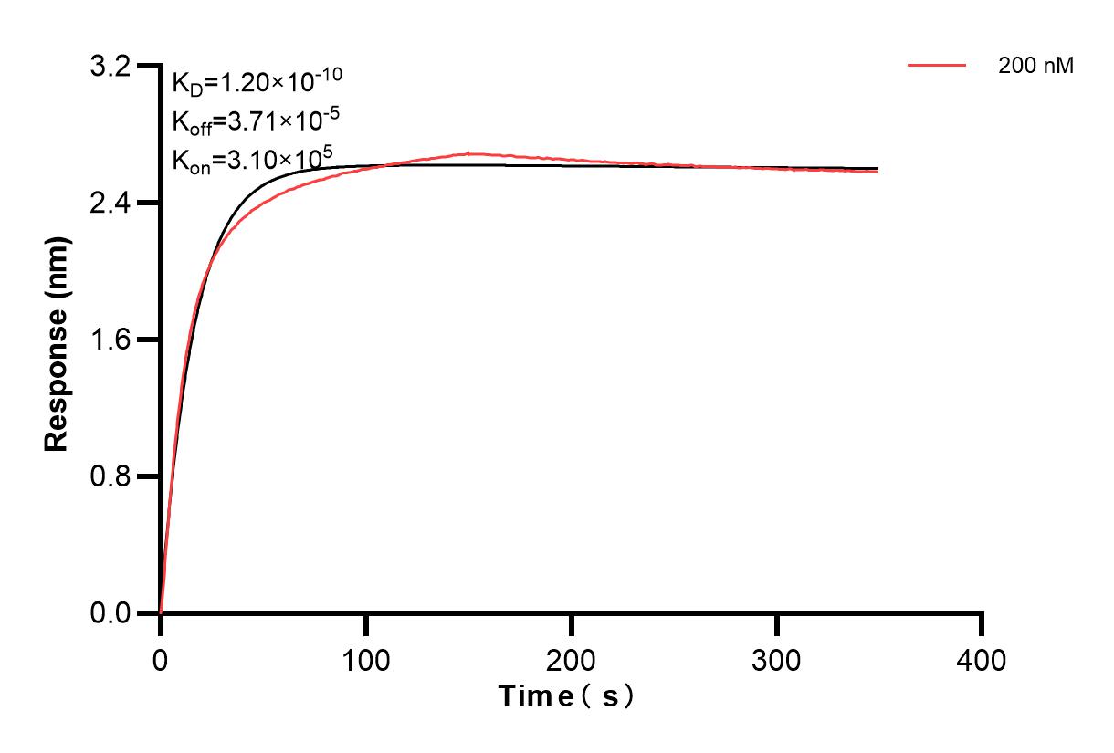 Affinity and Kinetic Characterization of 83948-4-PBS