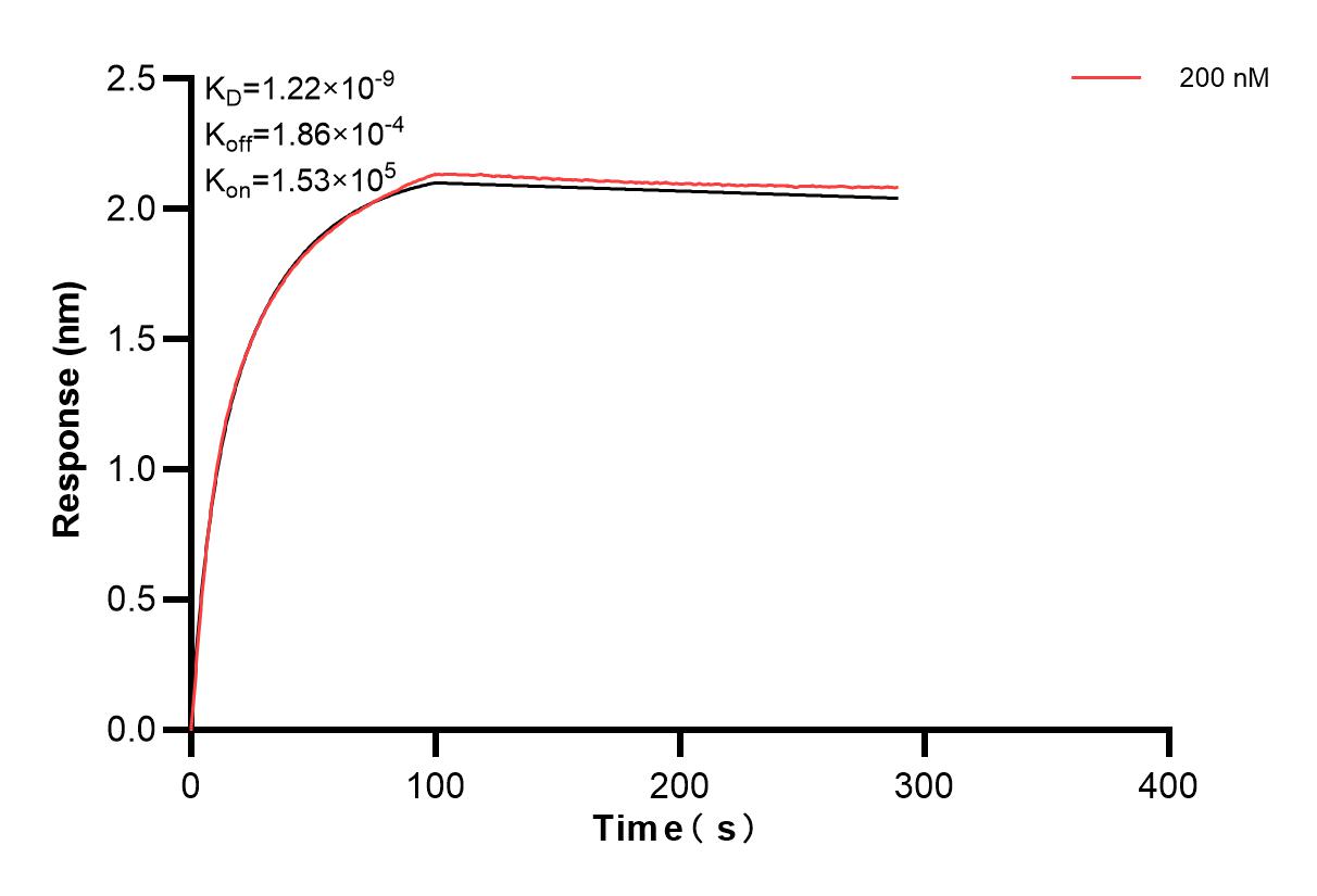 Affinity and Kinetic Characterization of 83950-3-PBS