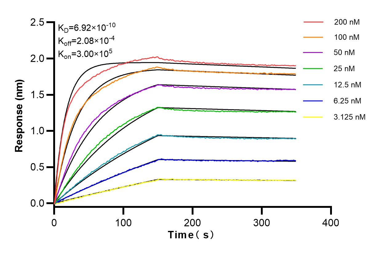 Affinity and Kinetic Characterization of 83950-5-RR