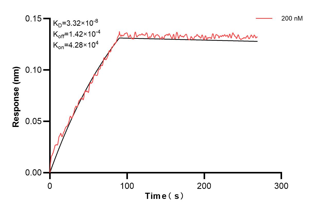 Affinity and Kinetic Characterization of 83956-1-PBS