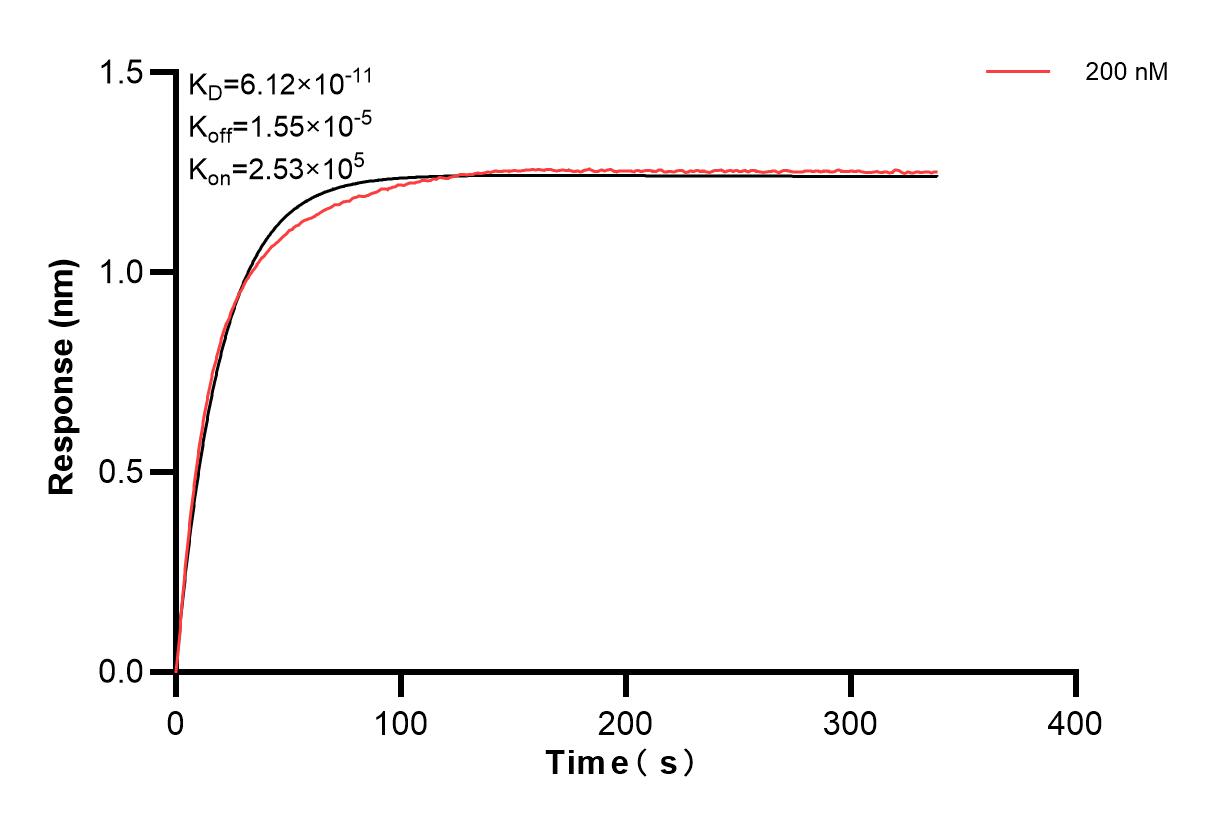 Affinity and Kinetic Characterization of 83956-2-PBS