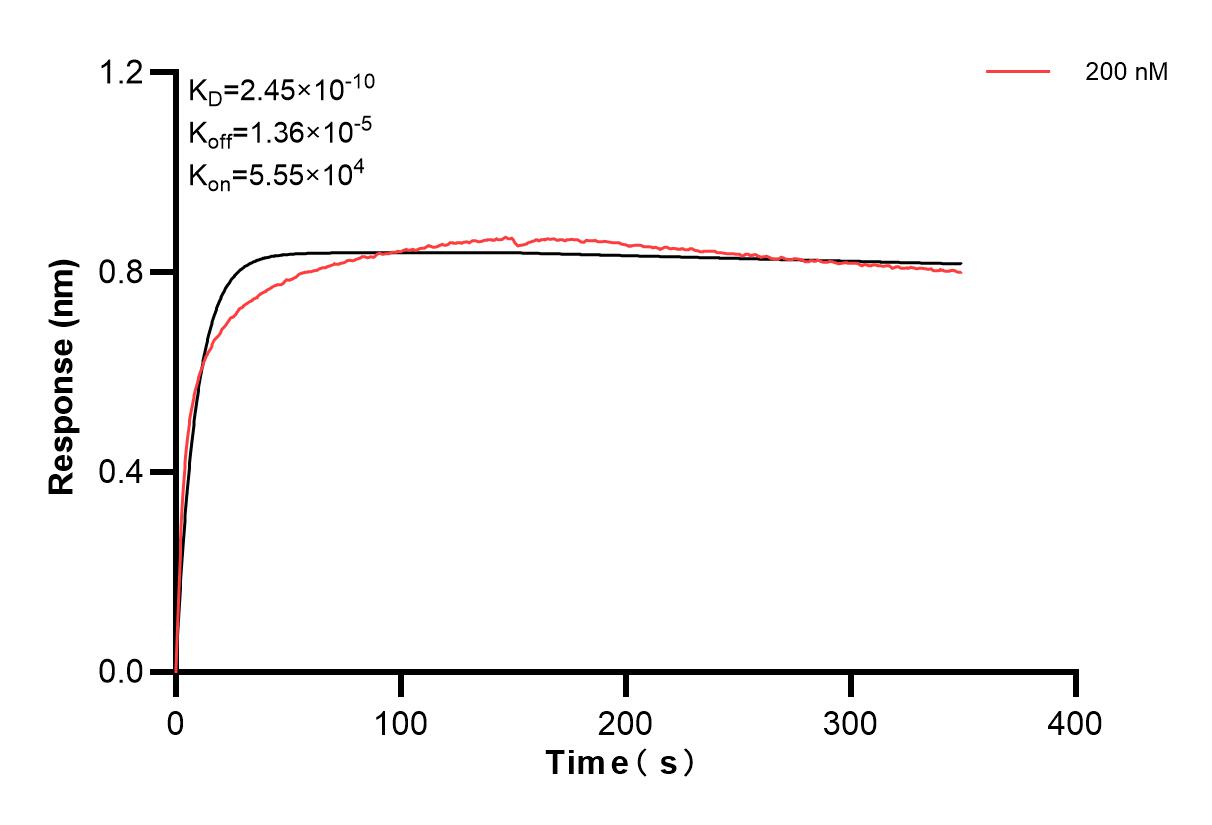 Affinity and Kinetic Characterization of 83959-1-PBS