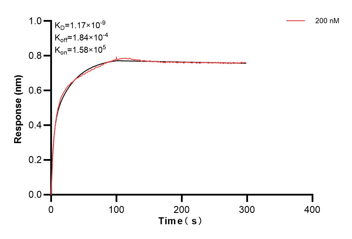 Affinity and Kinetic Characterization of 83959-2-PBS