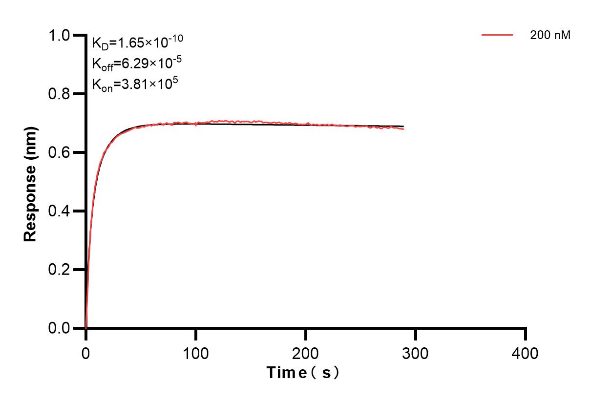 Affinity and Kinetic Characterization of 83959-3-PBS