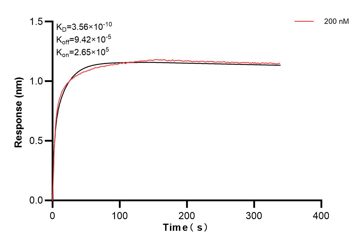 Affinity and Kinetic Characterization of 83959-4-PBS