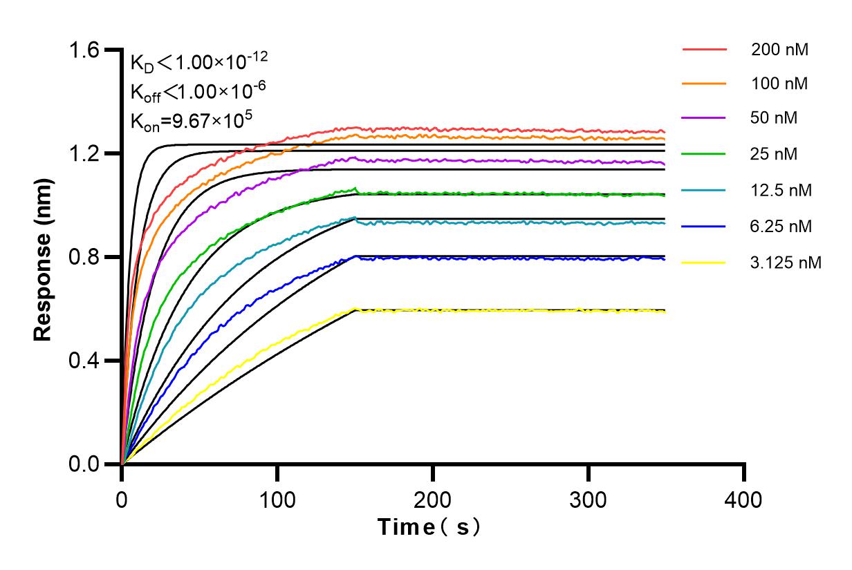 Affinity and Kinetic Characterization of 83959-6-RR