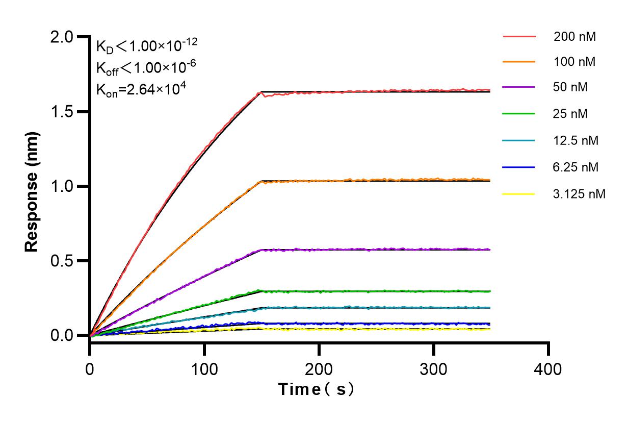 Affinity and Kinetic Characterization of 83961-3-RR