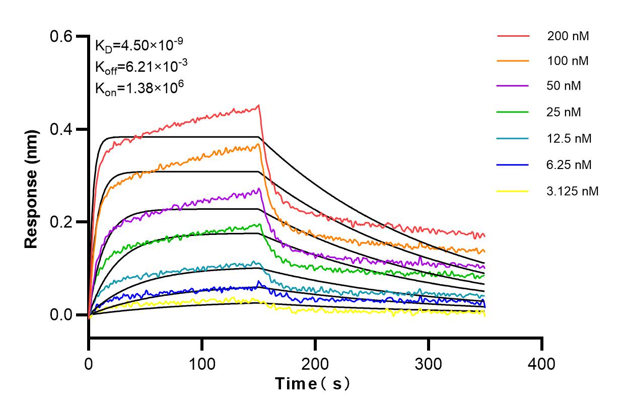 Affinity and Kinetic Characterization of 83972-5-RR