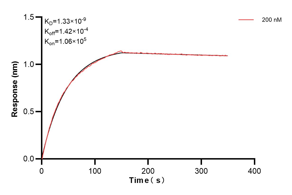 Affinity and Kinetic Characterization of 83977-1-PBS