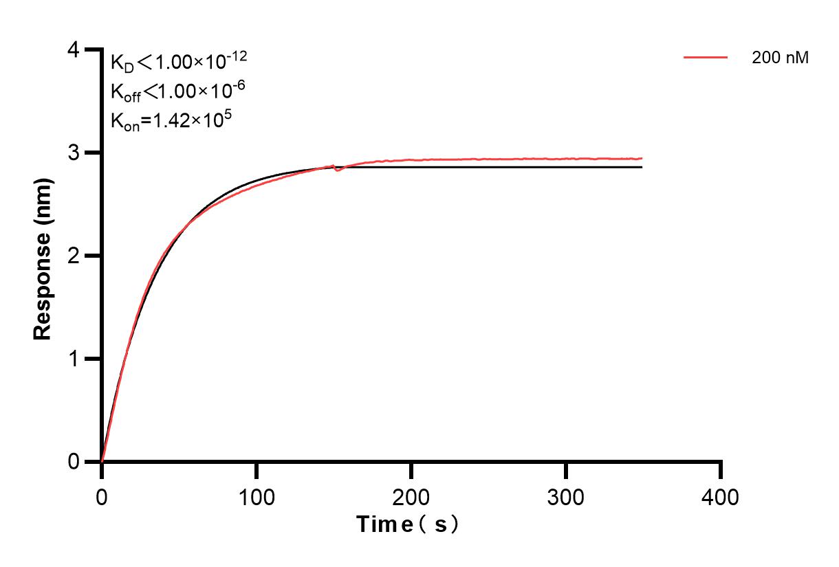 Affinity and Kinetic Characterization of 83978-1-PBS