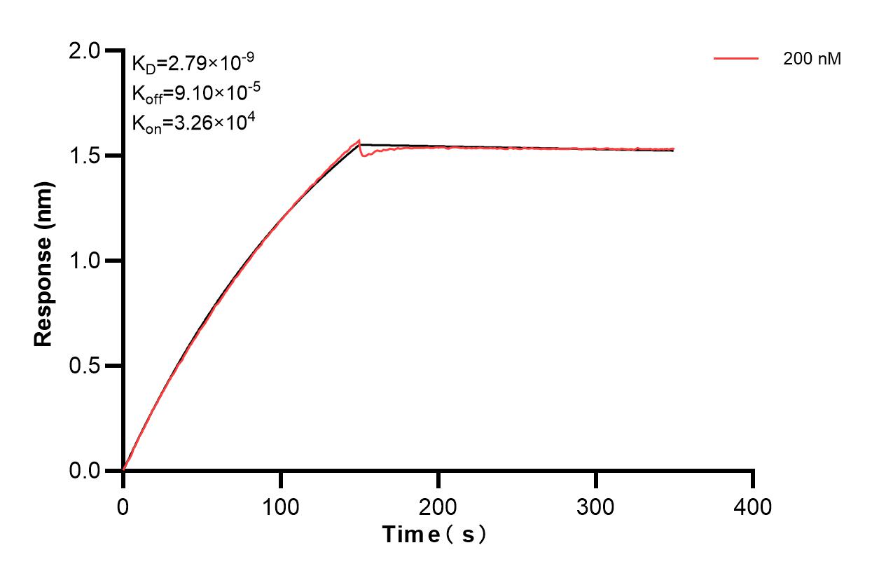 Affinity and Kinetic Characterization of 83978-3-PBS