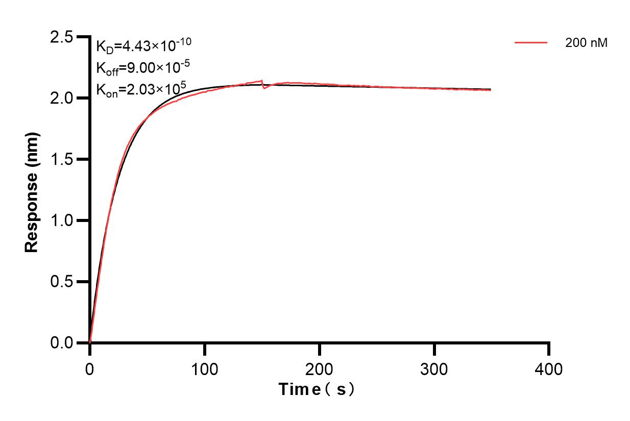 Affinity and Kinetic Characterization of 83978-4-PBS