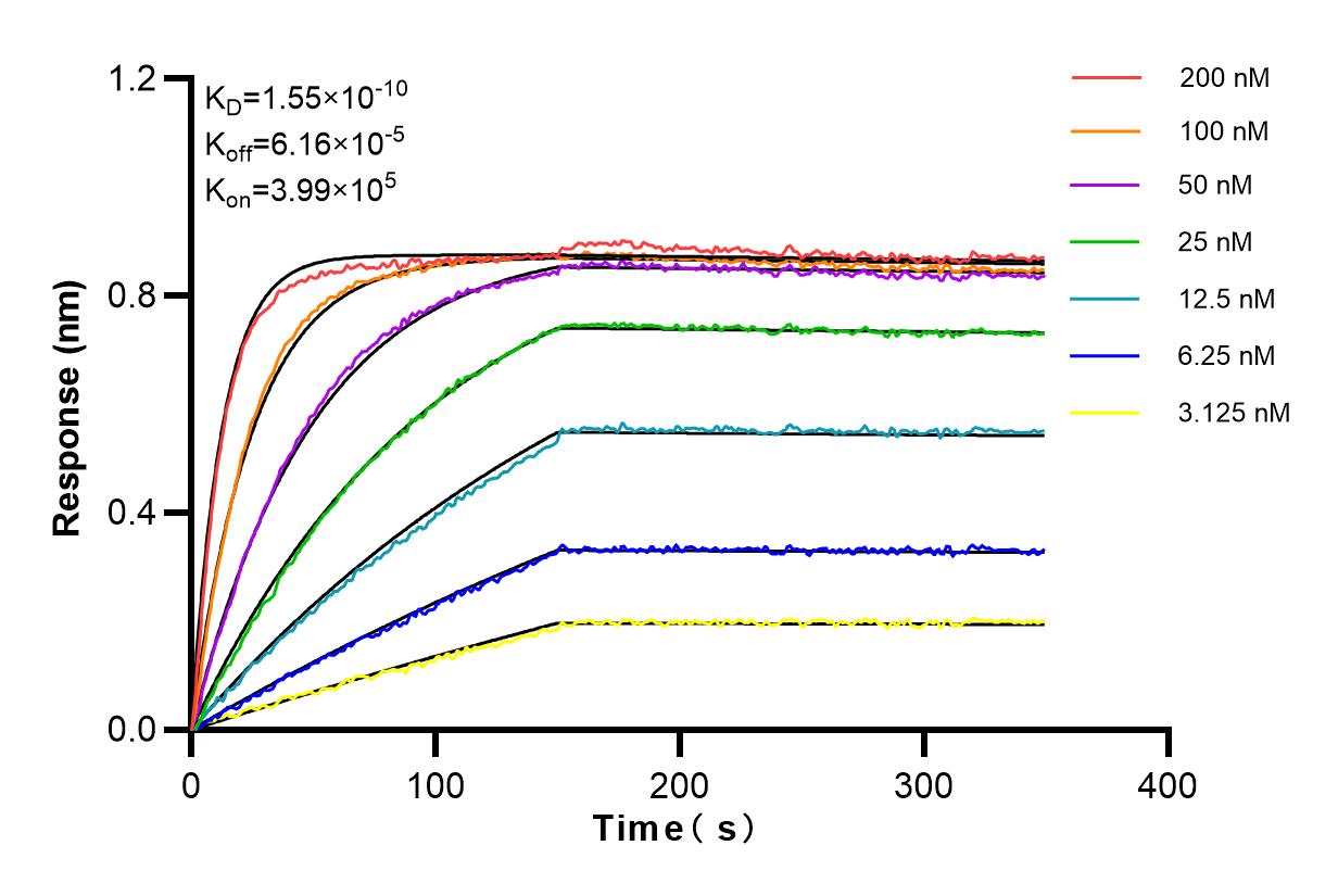 Affinity and Kinetic Characterization of 83981-4-RR