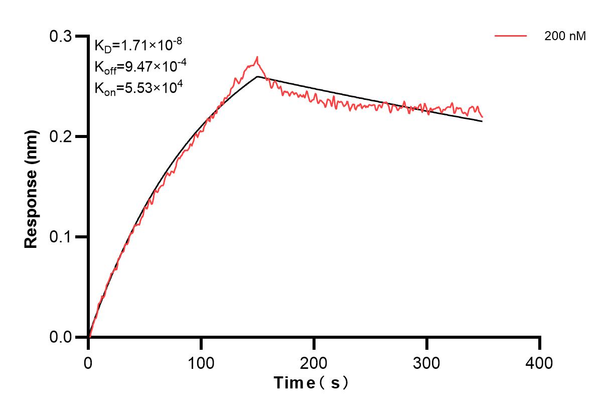 Affinity and Kinetic Characterization of 83983-2-PBS