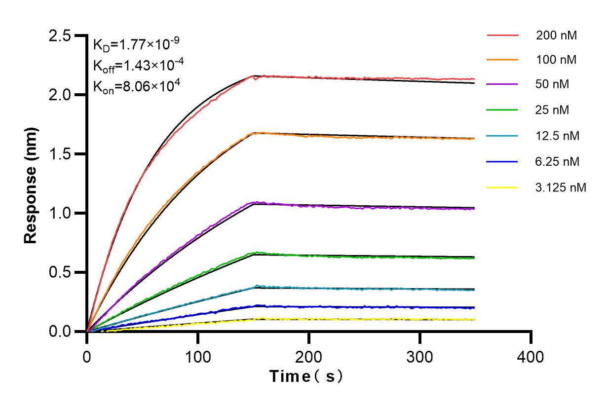 Affinity and Kinetic Characterization of 83984-5-RR