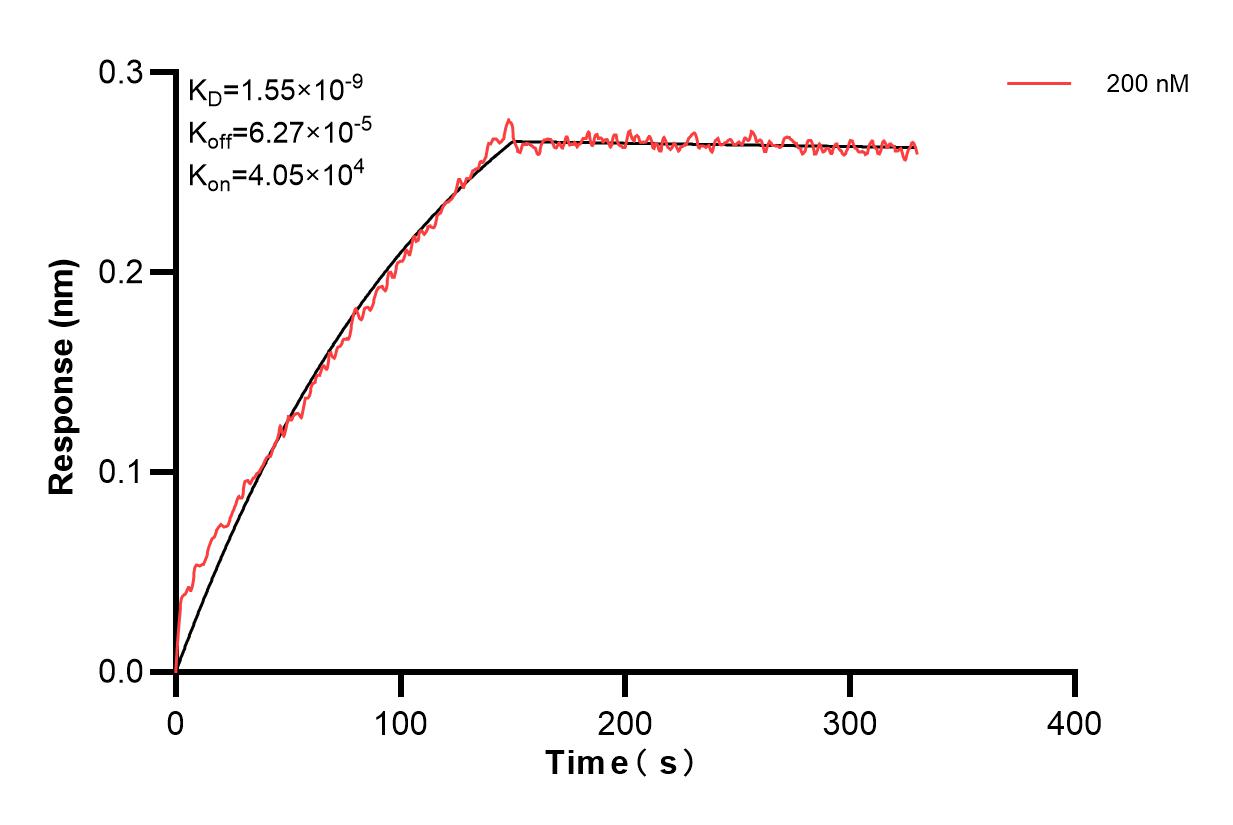 Affinity and Kinetic Characterization of 83990-2-PBS