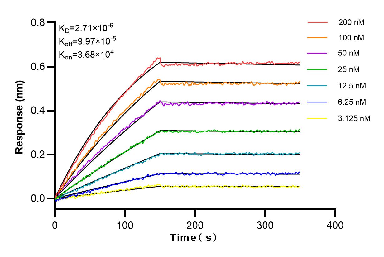 Affinity and Kinetic Characterization of 83992-1-RR