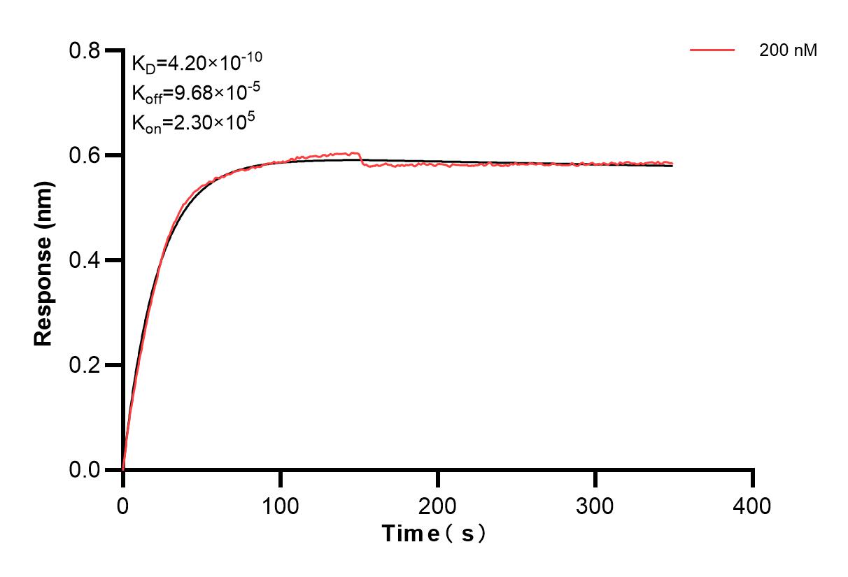 Affinity and Kinetic Characterization of 83994-2-PBS