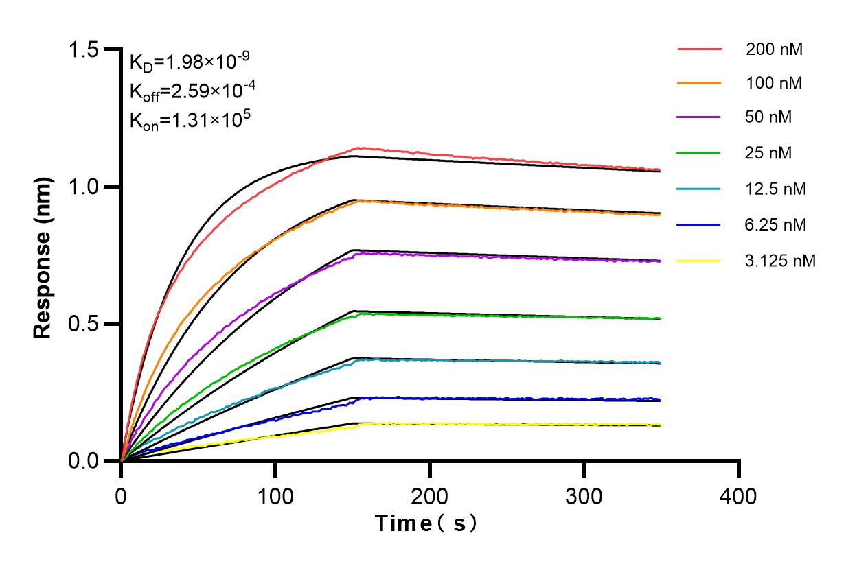 Affinity and Kinetic Characterization of 83996-4-RR