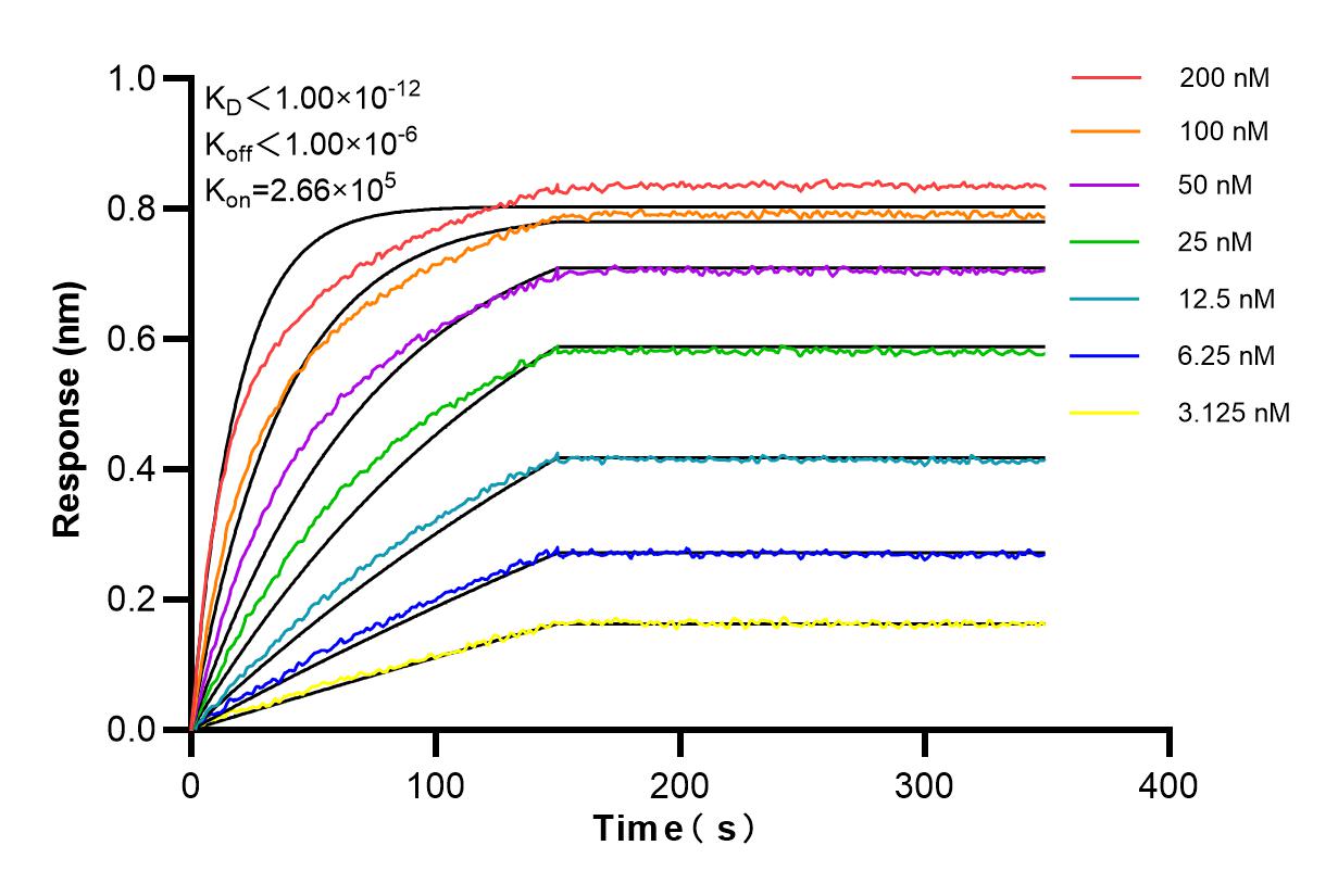 Affinity and Kinetic Characterization of 84009-5-RR