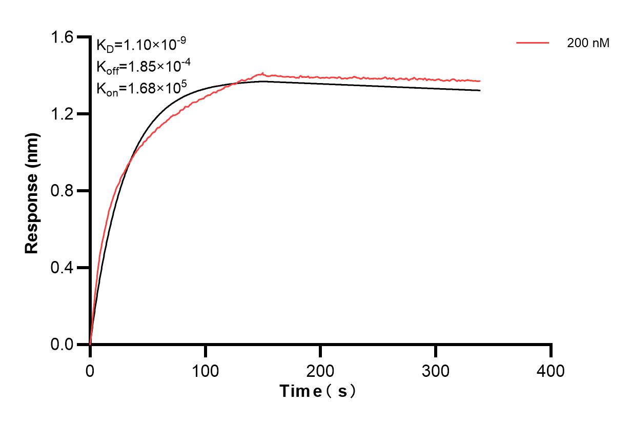 Affinity and Kinetic Characterization of 84014-2-PBS