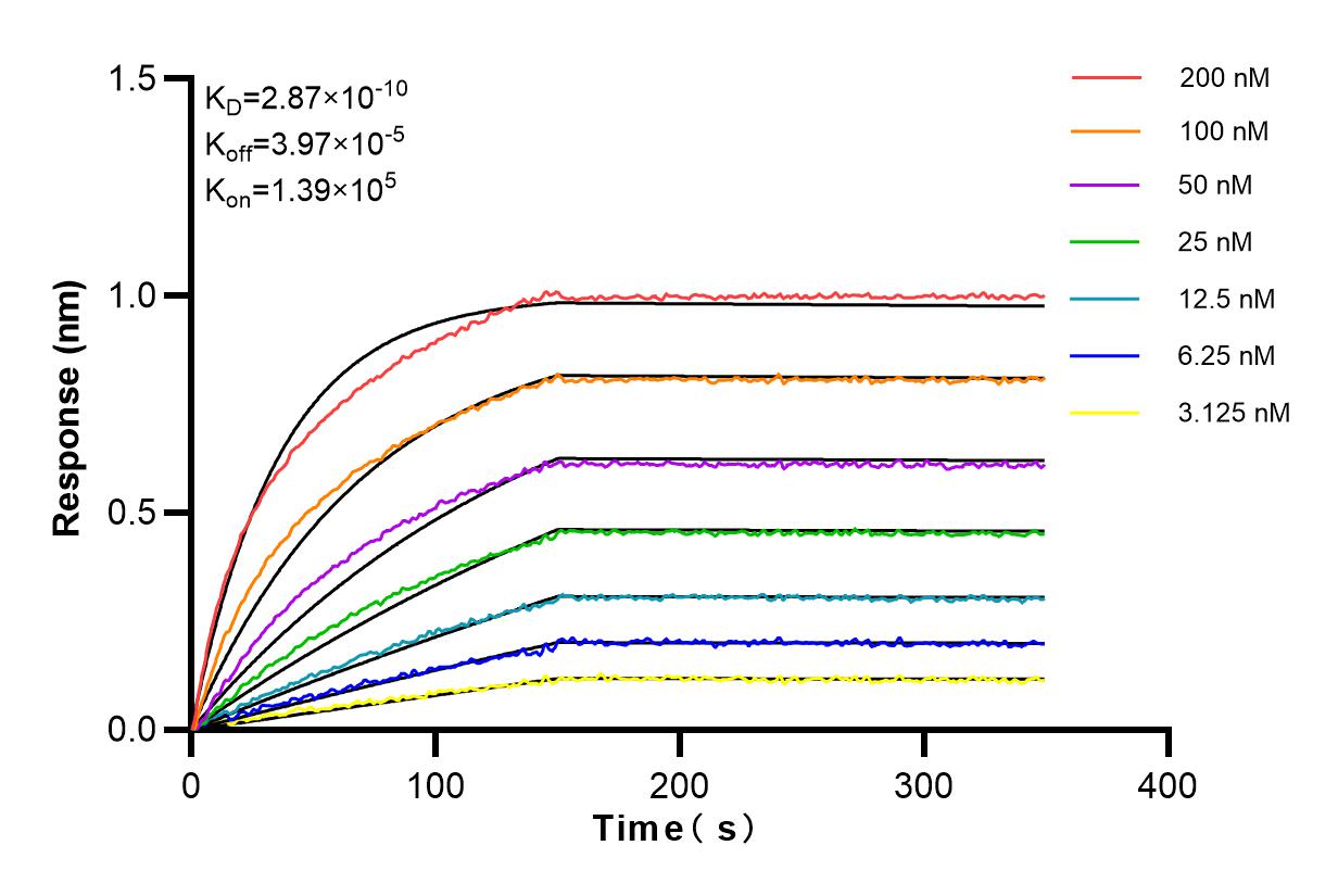 Affinity and Kinetic Characterization of 84014-5-RR