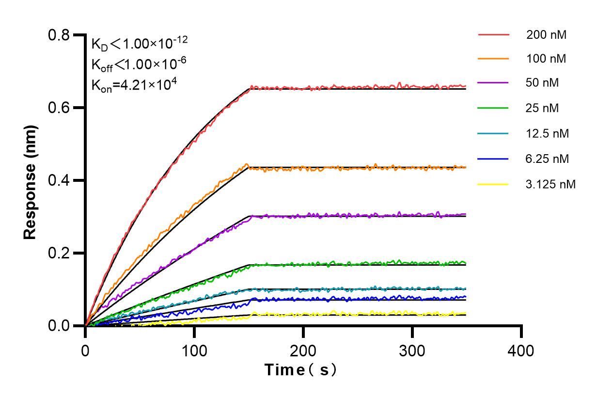 Affinity and Kinetic Characterization of 84016-4-RR