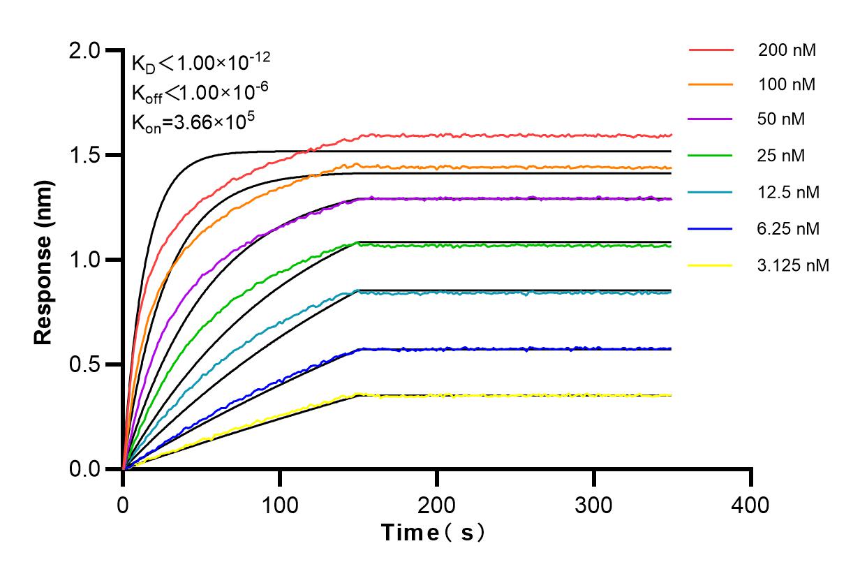 Affinity and Kinetic Characterization of 84022-6-RR