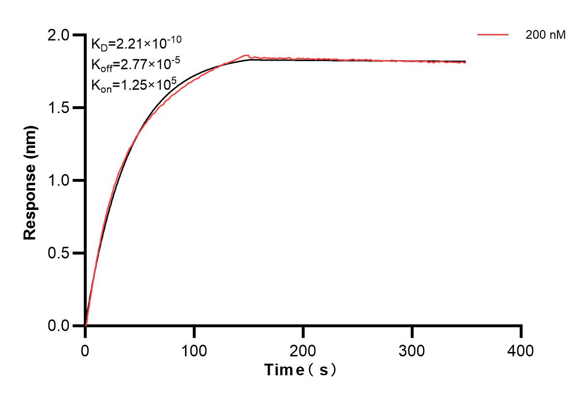 Affinity and Kinetic Characterization of 84033-2-PBS