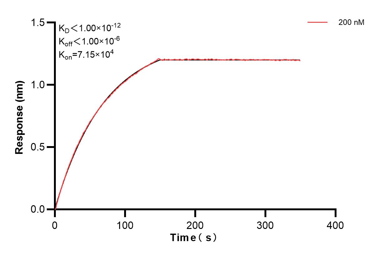 Affinity and Kinetic Characterization of 84033-3-PBS