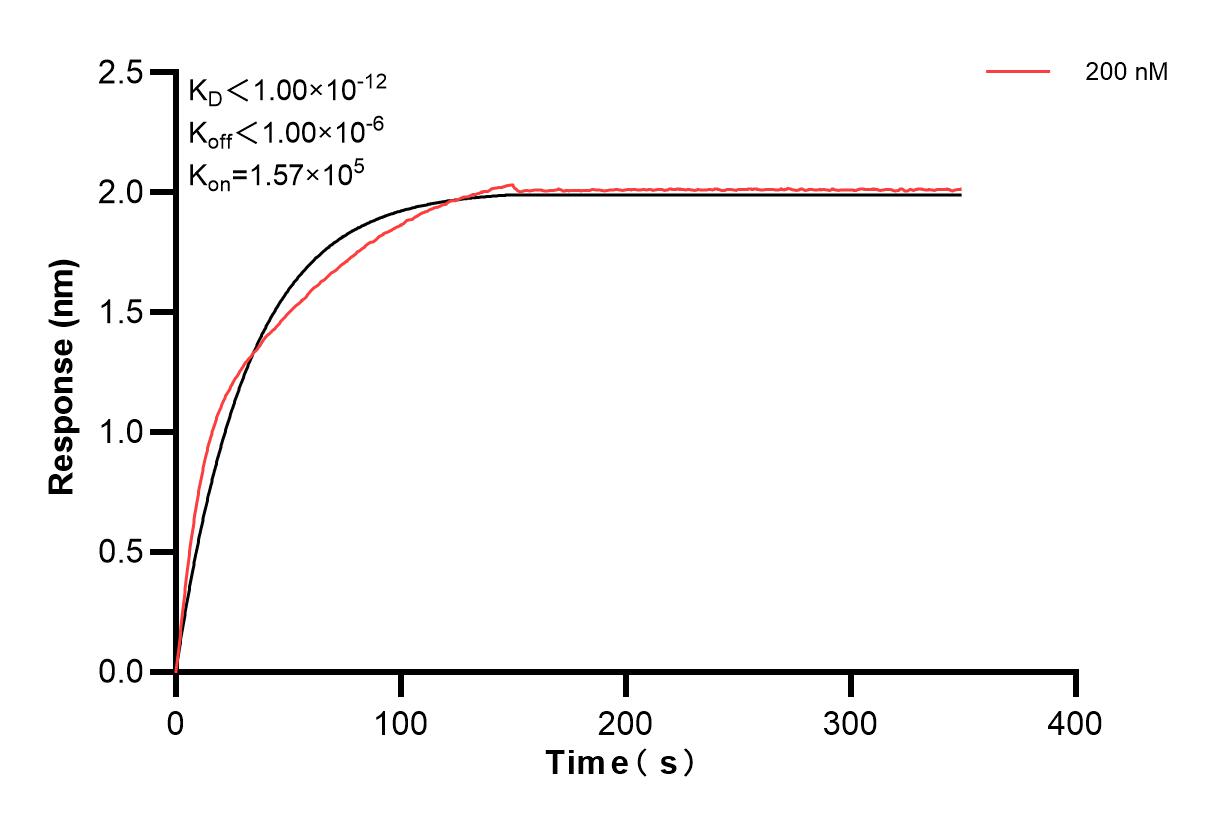 Affinity and Kinetic Characterization of 84039-1-PBS