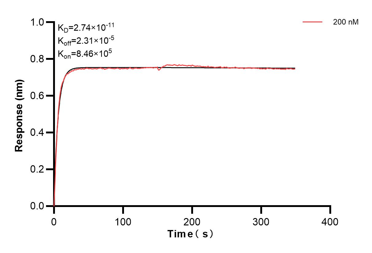 Affinity and Kinetic Characterization of 84053-2-PBS